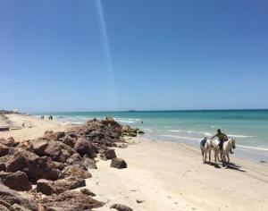 Джерба – солнечный остров на юго-востоке Туниса