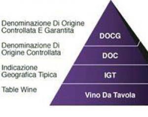 Итальянские вина: история, классификация, виноградники, лучшие виды марки, регионы и сорта